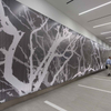 Modern Design Commerce Exterior Structural Metal Facade Building Aluminum Curtain Wall 